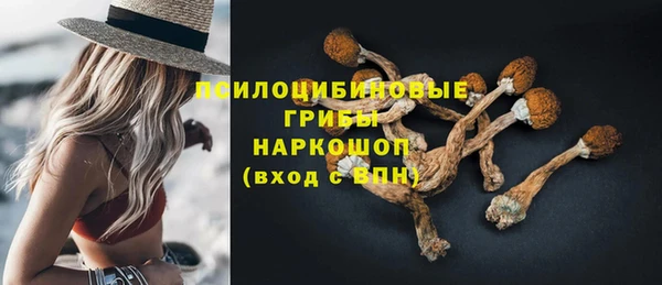 мдпв Осташков