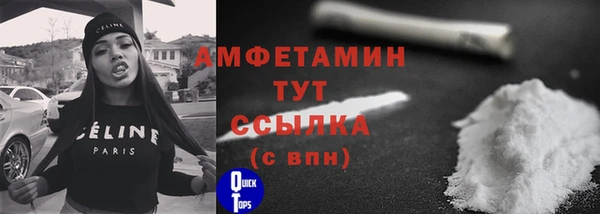 трава Няндома