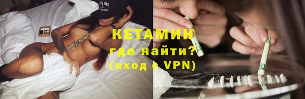 трава Няндома
