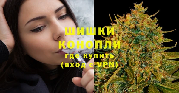 индика Болотное