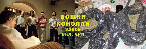 мдпв Осташков