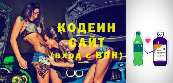 мдпв Осташков