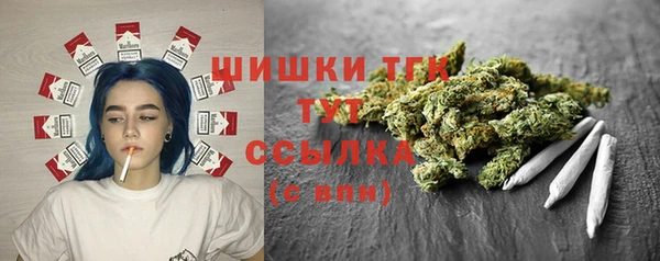 прущие грибы Болохово