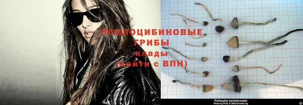 трава Няндома