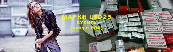 мдпв Осташков