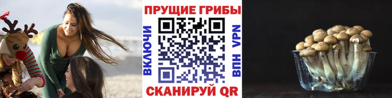 Галлюциногенные грибы GOLDEN TEACHER Эртиль