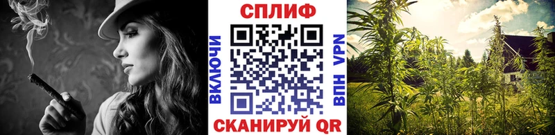 блэк спрут маркетплейс Эртиль darknet какой сайт Каннабис VHQ